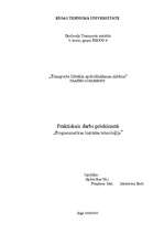 Referāts 'Transporta līdzekļa apdrošināšanas sistēma', 2.