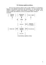 Referāts 'Transporta līdzekļa apdrošināšanas sistēma', 7.