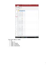 Paraugs 'Datu bāzes vadības sistēmas - pārskati', 19.