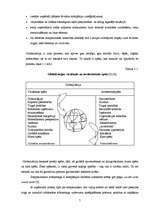 Referāts 'Globālais mārketings un tā ietekme uz patērētāju', 7.