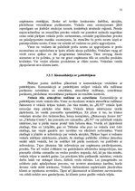 Referāts 'Uzņēmuma SIA "Elvi grupa" darbības analīze un plānošana', 31.