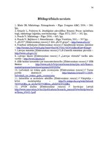 Referāts 'Uzņēmuma SIA "Elvi grupa" darbības analīze un plānošana', 34.