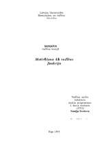 Referāts 'Motivēšana kā vadības funkcija', 1.