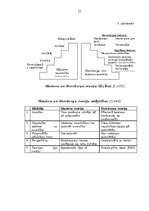 Referāts 'Motivēšana kā vadības funkcija', 21.