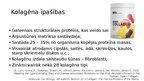 Prezentācija 'Kolagēna īpašības un pielietojums kosmetoloģijā/ medicīnā', 2.