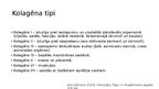 Prezentācija 'Kolagēna īpašības un pielietojums kosmetoloģijā/ medicīnā', 3.