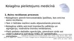 Prezentācija 'Kolagēna īpašības un pielietojums kosmetoloģijā/ medicīnā', 7.