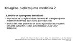 Prezentācija 'Kolagēna īpašības un pielietojums kosmetoloģijā/ medicīnā', 8.