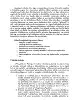 Referāts 'Ēnu ekonomika', 14.