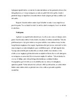 Referāts 'Soda efektivitāte noziedzības mazināšanā', 9.