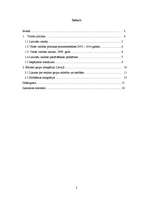 Referāts 'Valsts valodas politika un etnisko grupu integrācija Latvijā', 2.