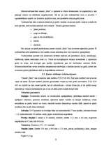 Prakses atskaite 'Prakses atskaite tirgzinībā', 5.