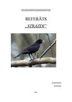 Konspekts 'Strazdi', 1.