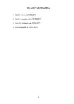 Referāts 'Oksidēšanās procesi', 12.