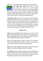 Referāts 'Latviešu valoda. Valodas Latvijā', 4.