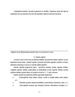 Referāts 'Izglītība Latvijā', 10.