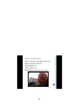 Referāts 'Enerģijas patērētāju vadīšana. Rīgas X vidusskolas elektroenerģijas patēriņa ana', 22.