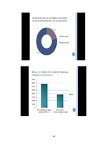 Referāts 'Enerģijas patērētāju vadīšana. Rīgas X vidusskolas elektroenerģijas patēriņa ana', 25.