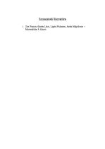 Referāts 'Centrālā simetrija', 13.