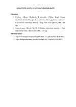 Eseja 'Latvijas tiesību attīstība 21.gadsimta Eiropas tiesību kontekstā', 4.