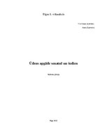 Referāts 'Referāts ķīmijā', 1.