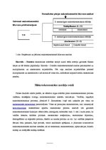 Referāts 'Sociāli ekonomisko procesu modelēšana. Makromodeļu veidi, īpatnības un pielietoš', 5.