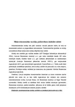 Referāts 'Sociāli ekonomisko procesu modelēšana. Makromodeļu veidi, īpatnības un pielietoš', 9.