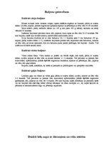 Referāts 'Dažādu zupu un saldo ēdienu gatavošana', 4.