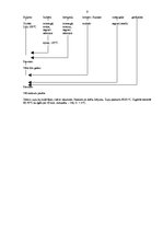 Referāts 'Dažādu zupu un saldo ēdienu gatavošana', 9.