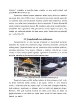 Referāts 'Ģeopolimēra konstrukcijas', 8.