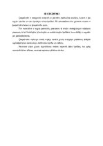 Referāts 'Ģeopolimēra konstrukcijas', 21.