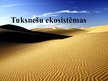 Prezentācija 'Tuksnešu ekosistēmas', 1.