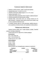 Biznesa plāns 'Biznesa plāns SIA "i-Spēles"', 4.