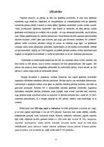 Referāts 'Pārtika, ko lietojam ikdienā - tās ietekme uz cilvēku veselību', 13.