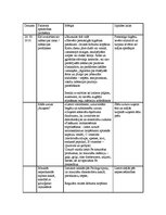 Prakses atskaite 'Aprūpes plāns sejas-žokļa ķirurģijā', 7.