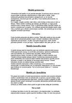 Referāts 'Masāža', 15.