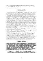 Referāts 'Masāža', 16.