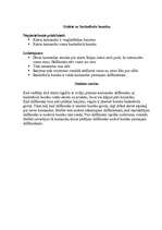 Konspekts 'Stafetes - ieskaites darbs sportā', 3.