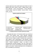 Prakses atskaite 'Bioģeogrāfijas prakses atskaite - biotopa aprakstīšana', 19.