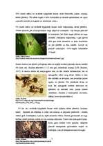 Prakses atskaite 'Bioģeogrāfijas prakses atskaite - biotopa aprakstīšana', 20.