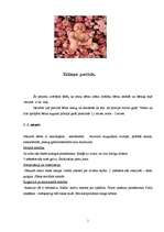 Konspekts 'Pārvērtības', 1.