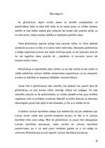 Referāts 'Globalizācija', 17.