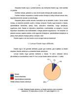 Referāts 'Latvijas finanšu tirgus', 6.