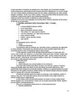 Konspekts 'Latvijas valsts un tiesību vēsture - Livonija, poļu, zviedru un krievu laiki', 19.