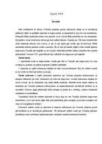 Referāts 'Turaidas pilskalna tehnogēnā slāņa nobrukuma cēloņi un to likvidācijas pasākumi', 3.