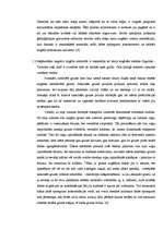 Referāts 'Turaidas pilskalna tehnogēnā slāņa nobrukuma cēloņi un to likvidācijas pasākumi', 19.