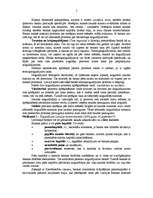 Referāts 'Centrālās bankas loma ekonomikā', 4.