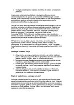 Konspekts 'Saudzīga grāmatvedības uzskaite', 2.