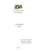 Paraugs 'Būvģipsis - laboratorijas darbs būvķīmijā', 1.