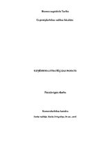 Referāts 'Uzņēmuma stratēģijas pamats', 1.